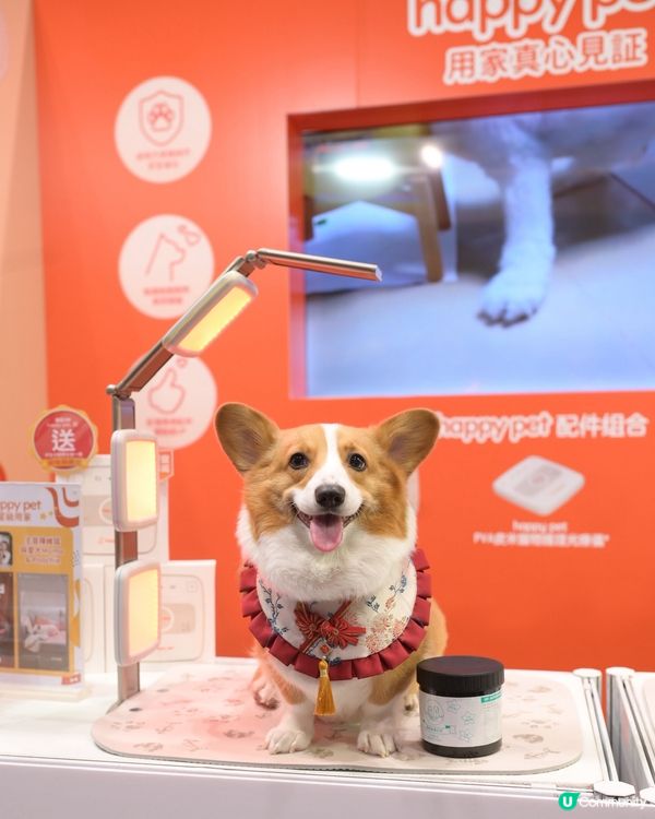 牛丸家好物分享📣📣📣