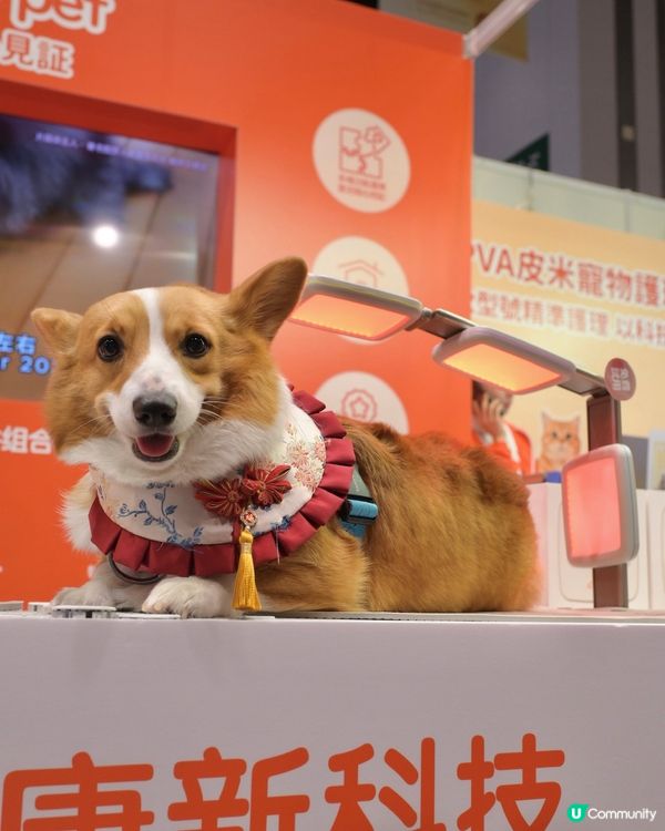 牛丸家好物分享📣📣📣