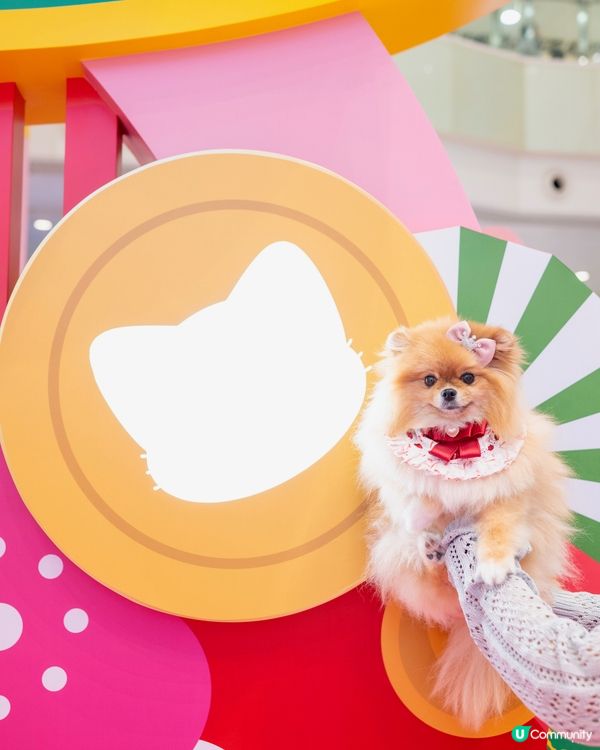 新年打卡必去！上水貓願城！🐱✨