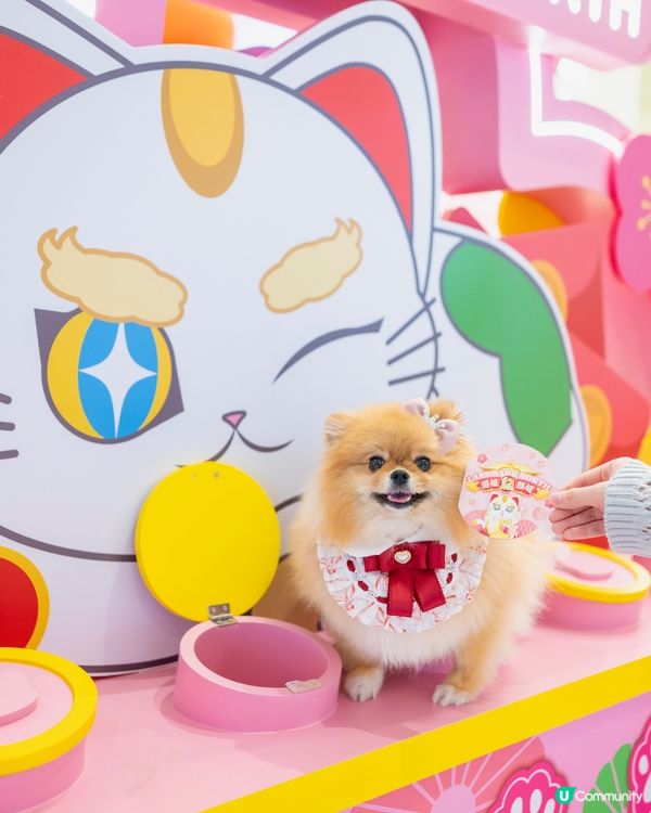 新年打卡必去！上水貓願城！🐱✨