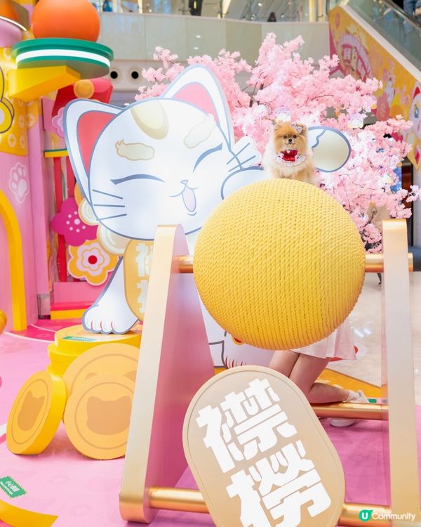 新年打卡必去！上水貓願城！🐱✨