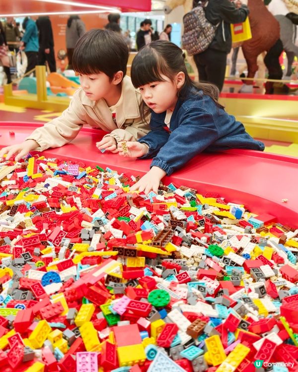 屯門市廣場駿藝樂園！駿馬震撼登場！🐴✨