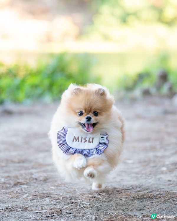 流水響行山📸免費泊車安心玩！