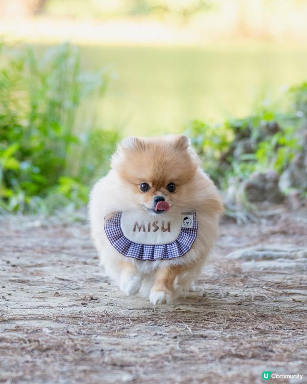 流水響行山📸免費泊車安心玩！