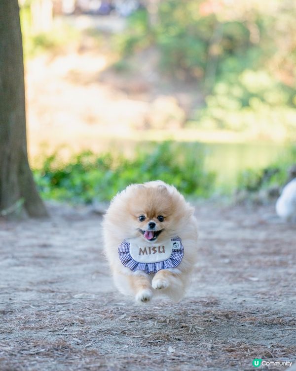 流水響行山📸免費泊車安心玩！