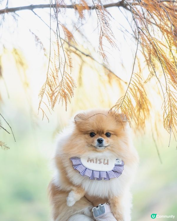 流水響行山📸免費泊車安心玩！