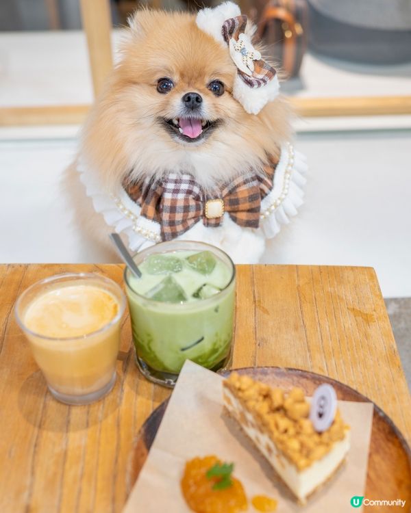 咖啡時間！☕️ 充電一下！💪