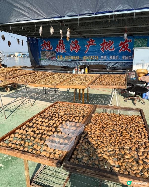 步進金蠔之鄉流浮山，為開年飯搜羅大隻金蠔