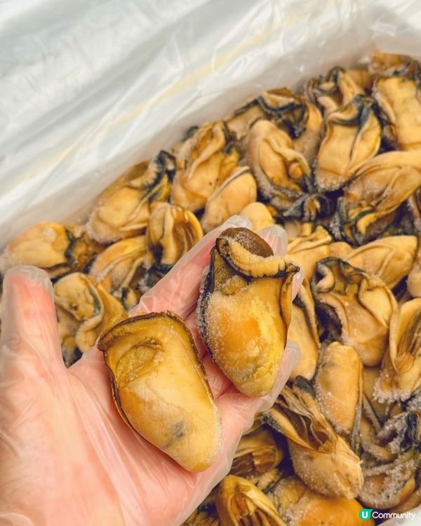 步進金蠔之鄉流浮山，為開年飯搜羅大隻金蠔