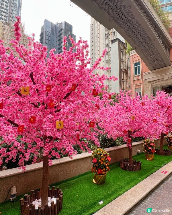 灣仔利東街巧遇Molly20週年公仔！😍