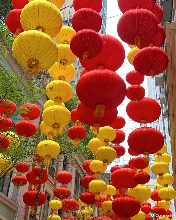 灣仔利東街巧遇Molly20週年公仔！😍