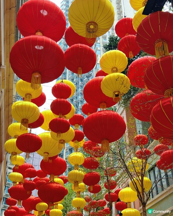 灣仔利東街巧遇Molly20週年公仔！😍