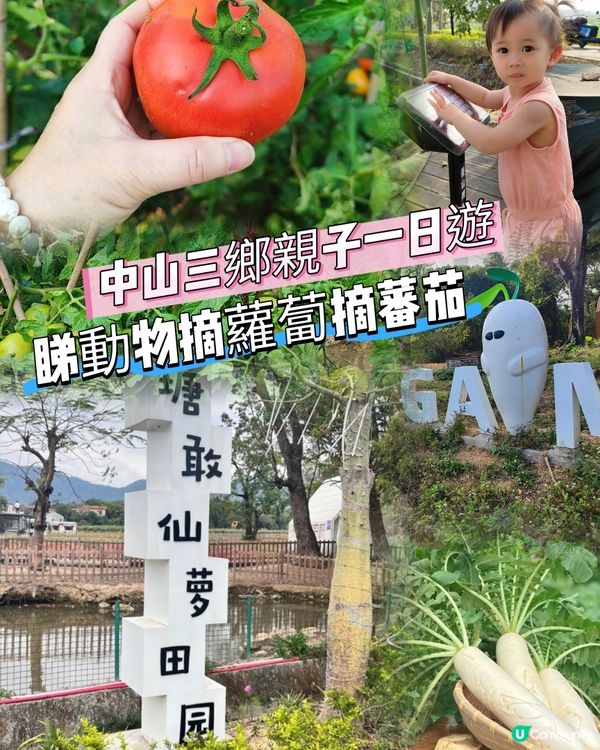 中山三鄉，摘蘿蔔睇動物🐖🐴親子一日遊🍓