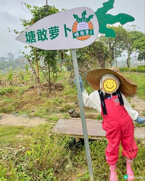中山三鄉，摘蘿蔔睇動物🐖🐴親子一日遊🍓