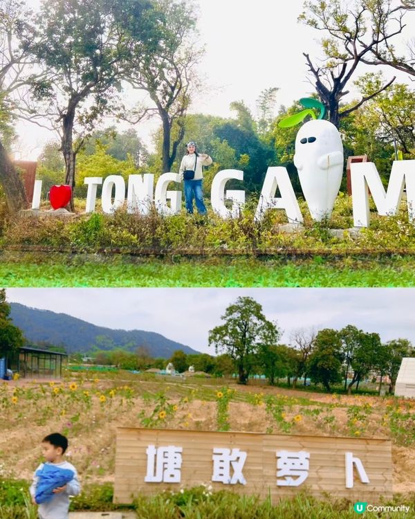 中山三鄉，摘蘿蔔睇動物🐖🐴親子一日遊🍓