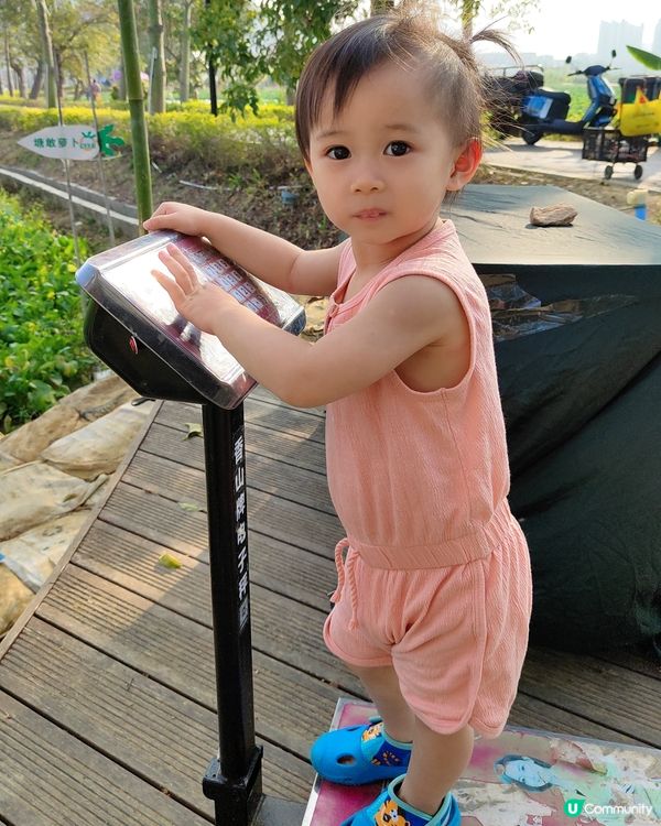 中山三鄉，摘蘿蔔睇動物🐖🐴親子一日遊🍓