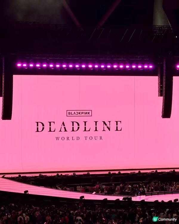 BP終於合體！山頂位都值！🤩🎤