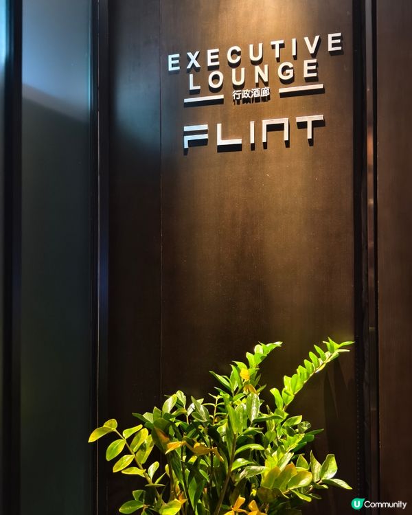 萬能調味料 Exotica Umami Sauce