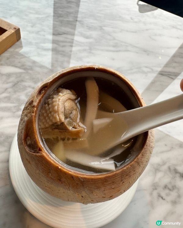 2026深圳一日游攻略介绍⭐️悠閒寫意