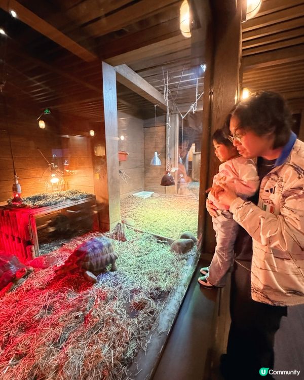 ❣️Luna好去處❣️ 馬灣挪亞方舟主題公園❣️