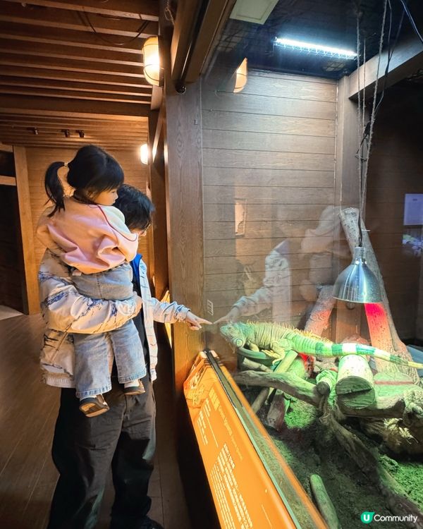 ❣️Luna好去處❣️ 馬灣挪亞方舟主題公園❣️