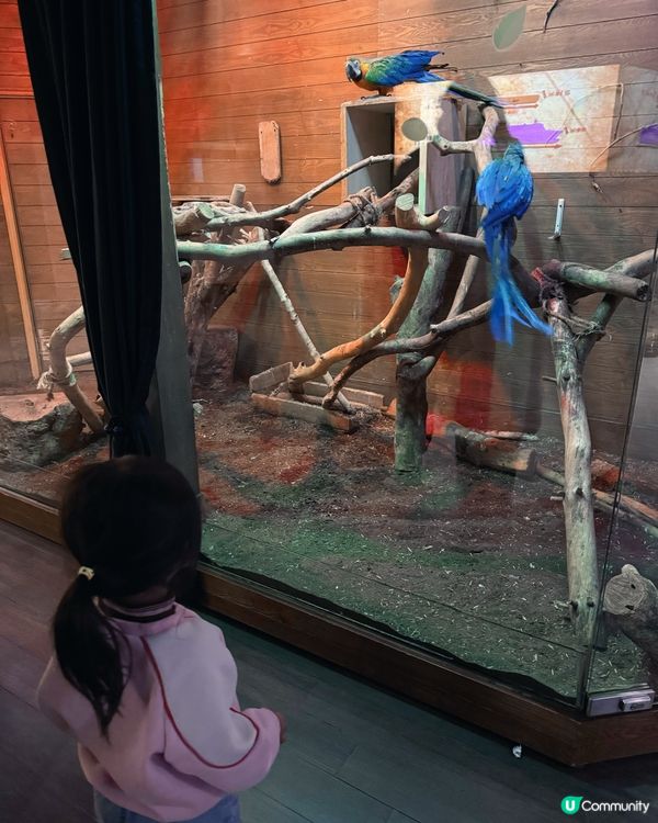 ❣️Luna好去處❣️ 馬灣挪亞方舟主題公園❣️