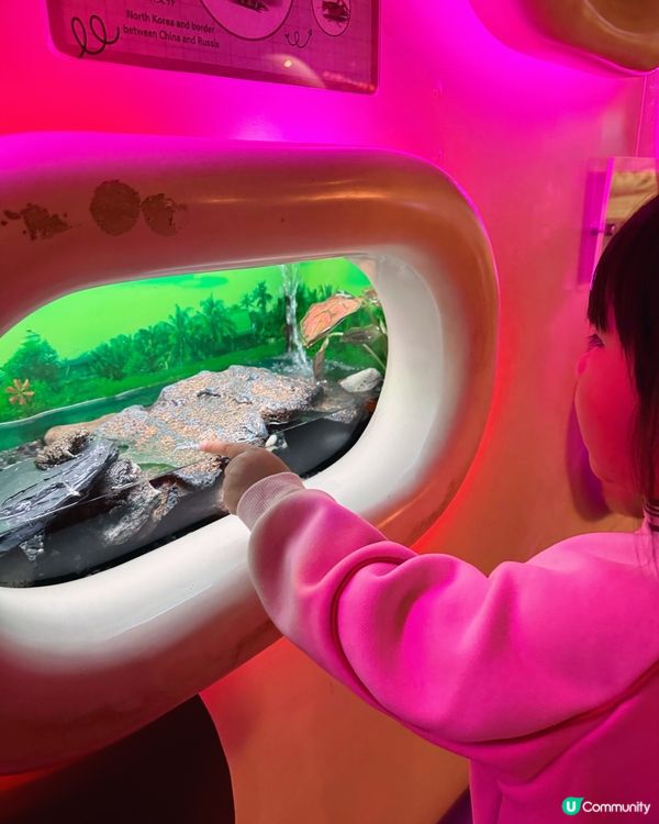 ❣️Luna好去處❣️ 馬灣挪亞方舟主題公園❣️