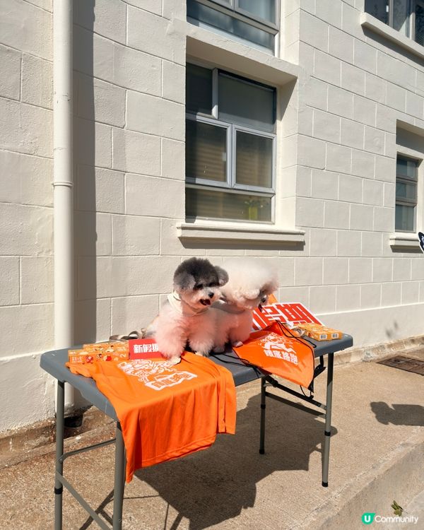 新假期餓底路跑🏃🏽‍♀️‍➡️🏃🏻‍♂️‍➡️