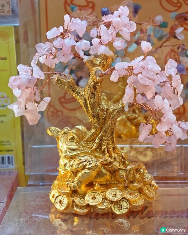 豬年好運到！豬豬市集天堂！🐷✨