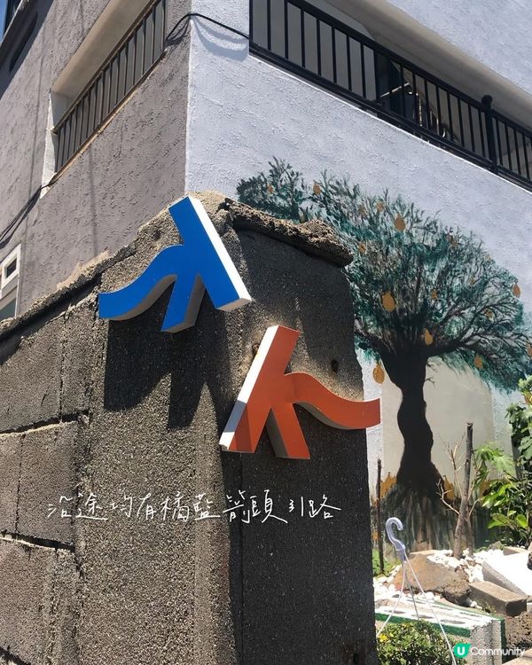 【濟洲島都可以徒步旅行?🚶】挑戰偶來小路15B全走!