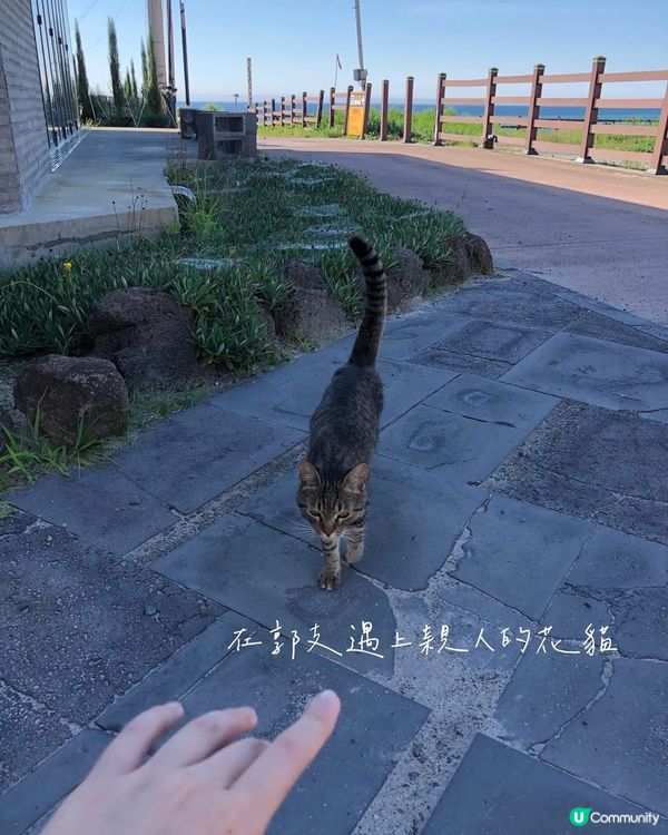 【濟洲島都可以徒步旅行?🚶】挑戰偶來小路15B全走!