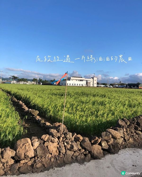 【濟洲島都可以徒步旅行?🚶】挑戰偶來小路15B全走!