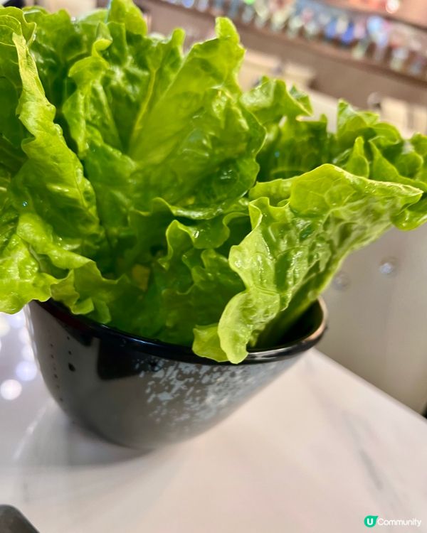 【大口吃肉!青松宇大汗超值羊腿羊排套餐來啦~🍖】