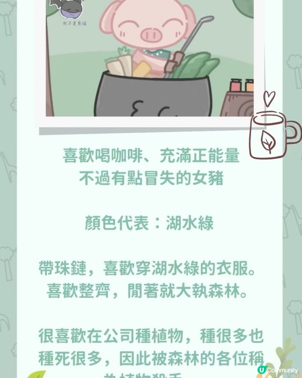 【🌲EC森林：ECg 都識煮泰菜！？】