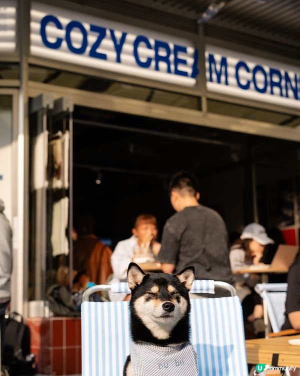 大角咀最新韓系打卡cafe
