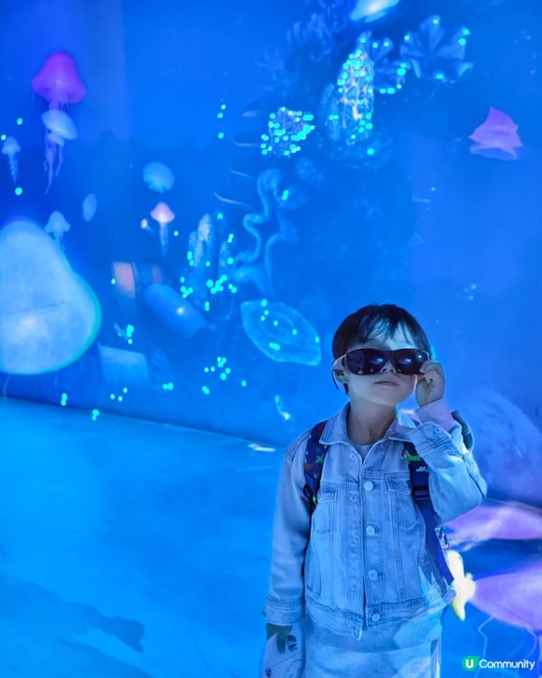 馬灣親子遊！🌊挪亞方舟超好玩！🤩