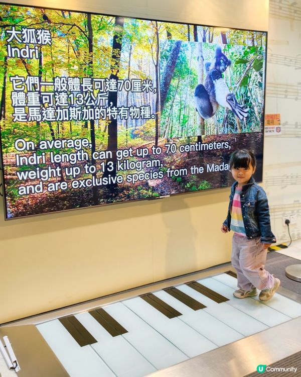 馬灣親子遊！🌊挪亞方舟超好玩！🤩