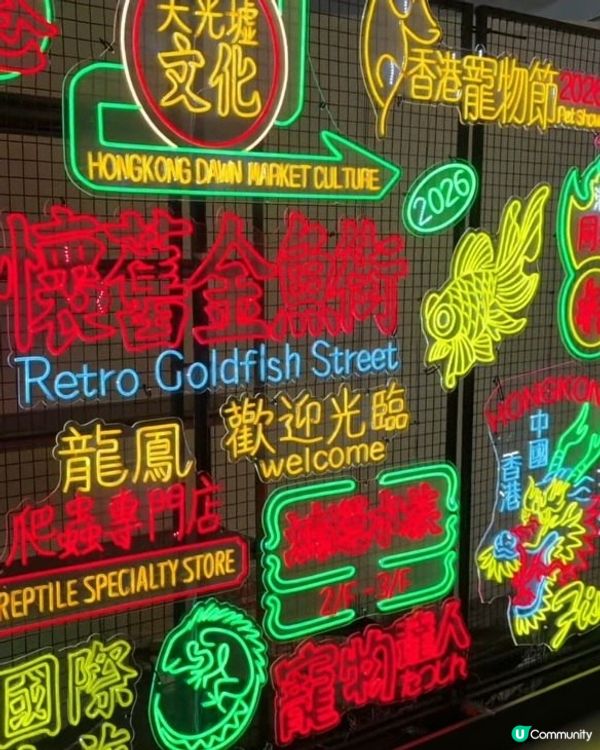 去《香港寵物節2026》拍拖