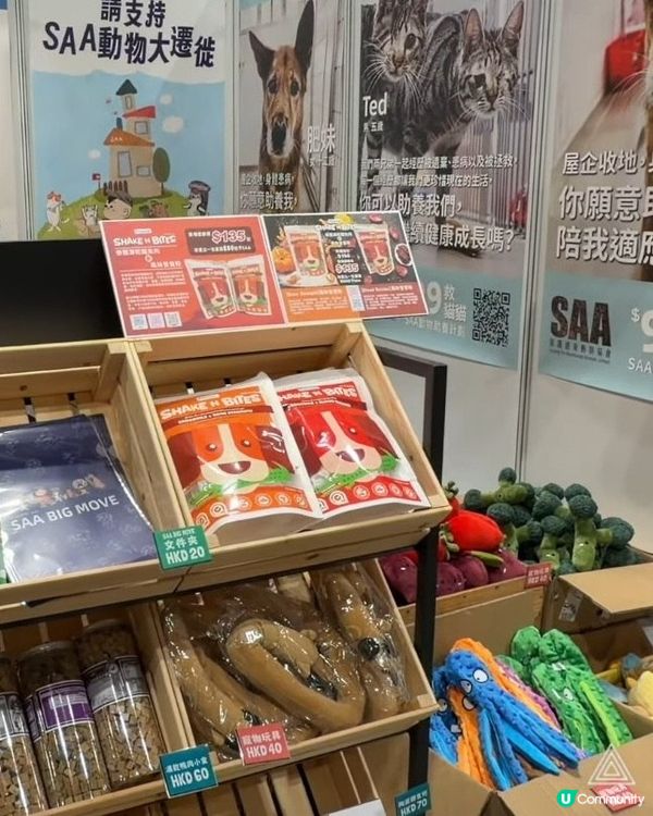 去《香港寵物節2026》拍拖