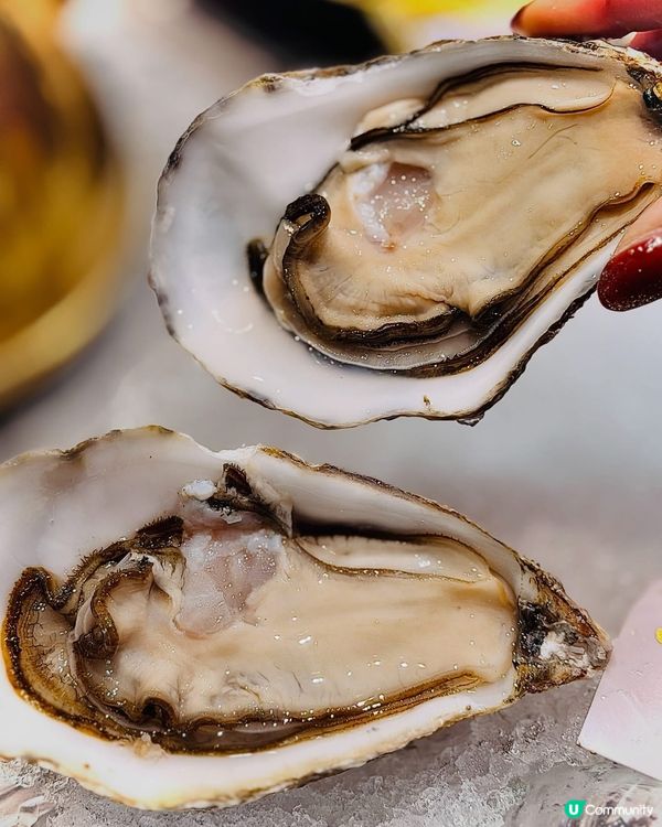 🔥靚湯打邊爐，一啖暖入心💖