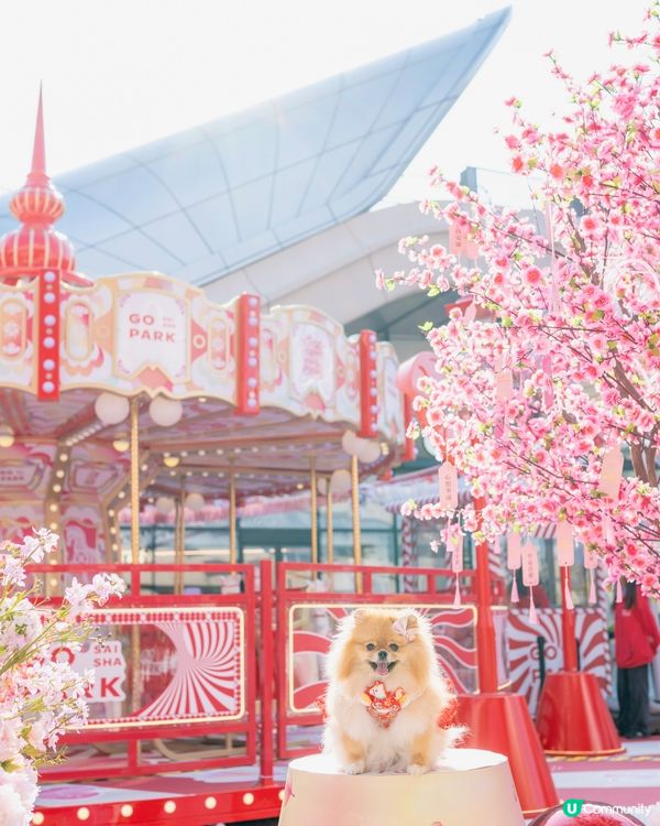桃花運到！米蘇蘇Go Park春日樂園玩到癲！🌸🎠