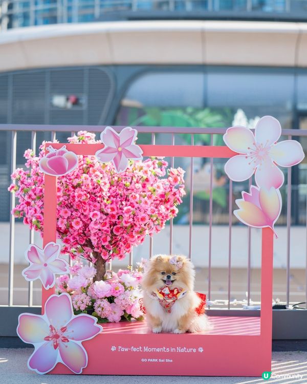 桃花運到！米蘇蘇Go Park春日樂園玩到癲！🌸🎠