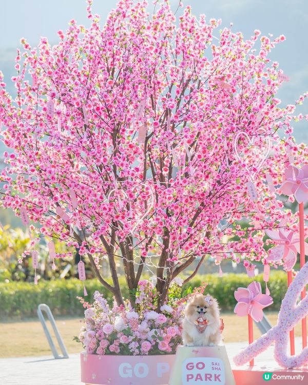 桃花運到！米蘇蘇Go Park春日樂園玩到癲！🌸🎠