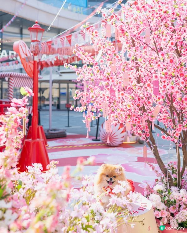 桃花運到！米蘇蘇Go Park春日樂園玩到癲！🌸🎠