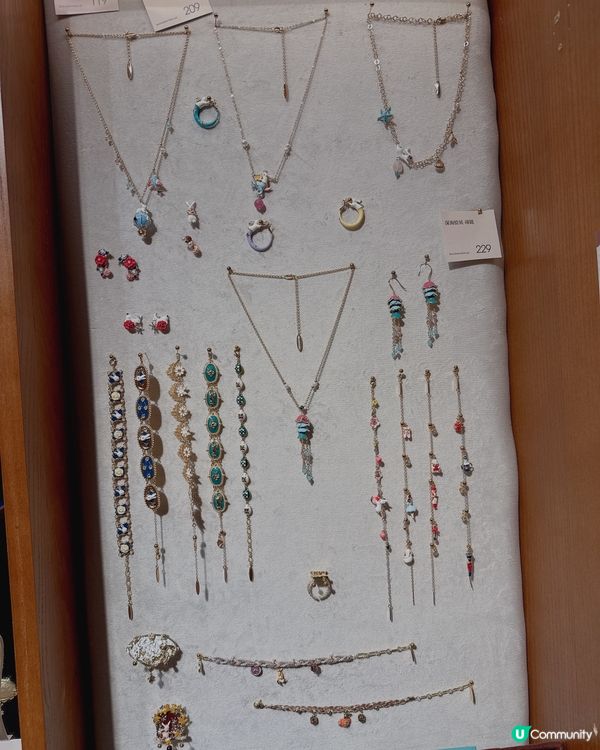 兔兔夢遊仙境！🐰迷✨ 必買好物！