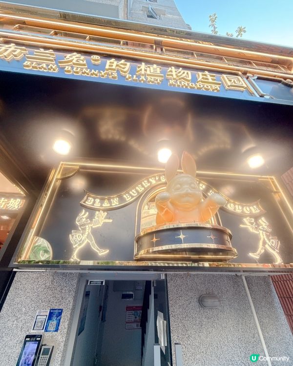 兔兔夢遊仙境！🐰迷✨ 必買好物！