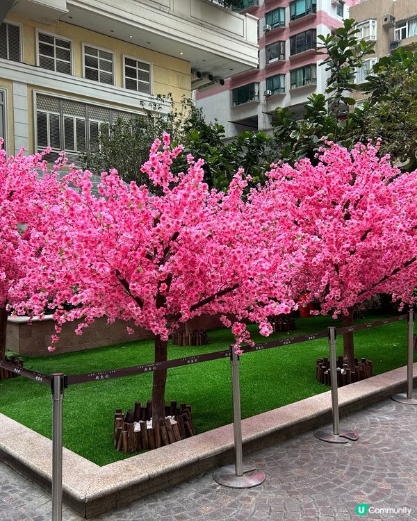 利東街「囍」迎馬年