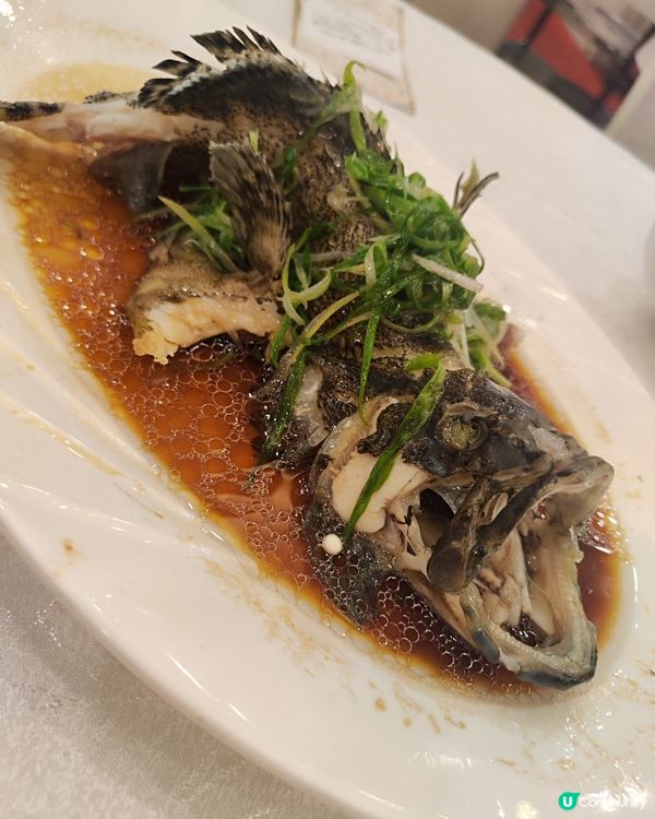抵食之選！酒樓荀盤推介！🤩