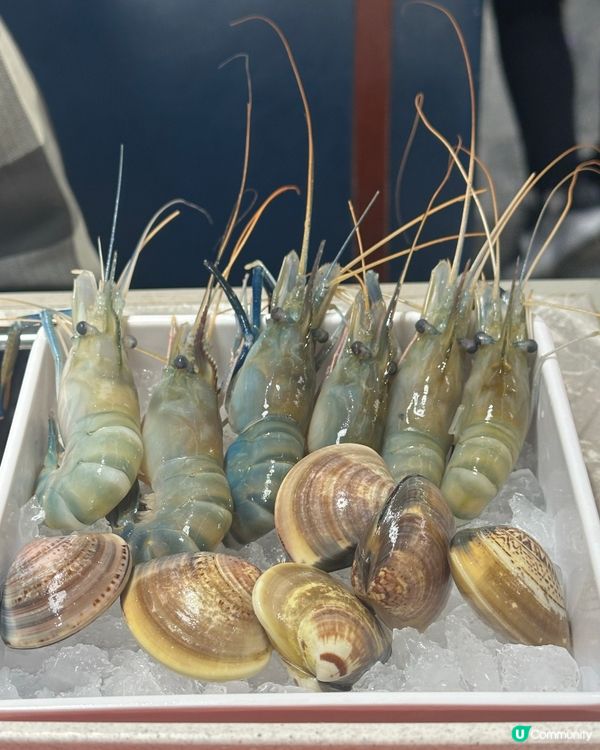 足料特色火鍋放題💯飲飽食醉大滿足