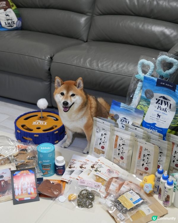 寵物展收穫滿滿